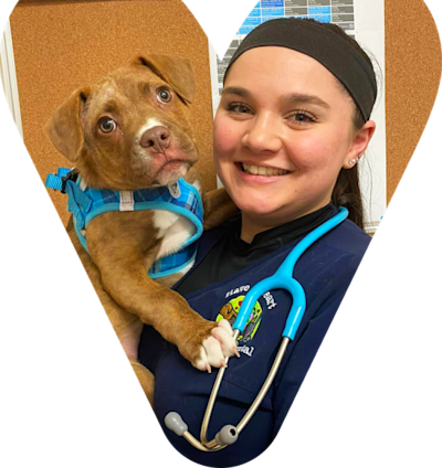Veterinarian with pet