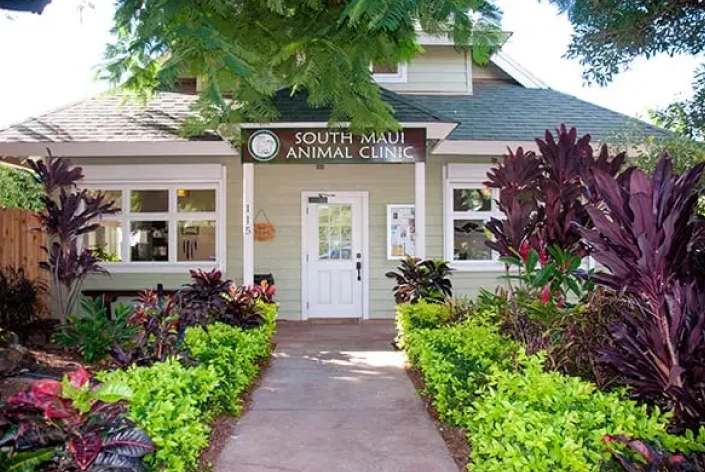 South Maui Animal Clinic