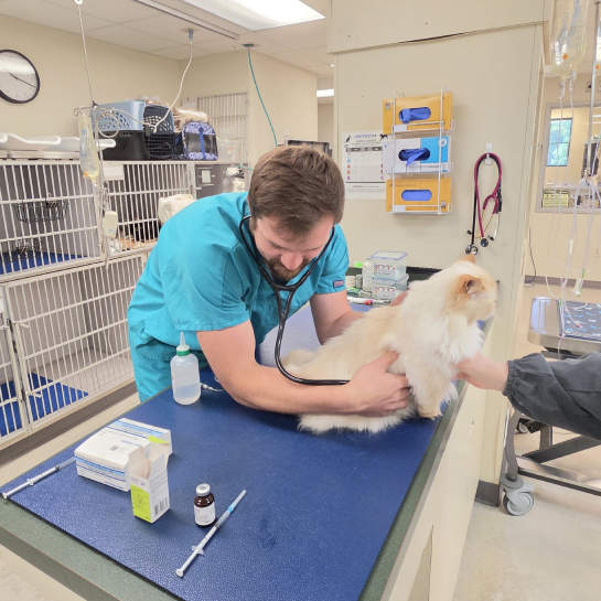 Magrane Pet Medical Center