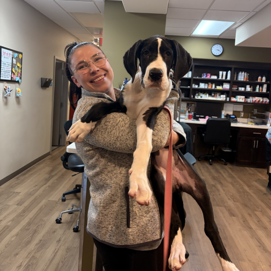 Plantation Animal Clinic