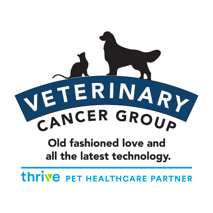 【裁断済み】VETERINARY ONCOLOGY No.43 44 46 47 Precision Medicine in Veterinary Oncology | Frontiers