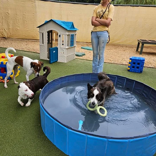 Greenbriar Luxury Pet Resort