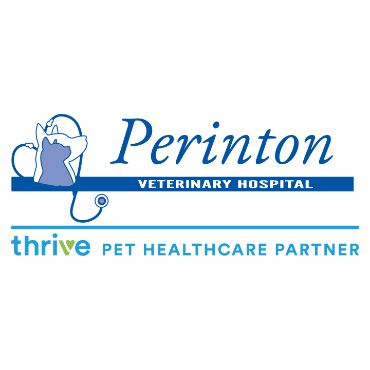 Perinton Veterinary Hospital