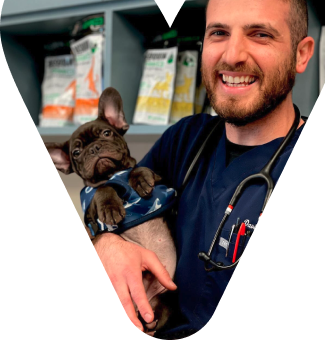 Veterinarian with pet