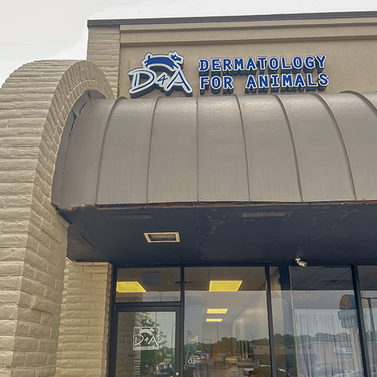 Dermatology for Animals - Omaha
