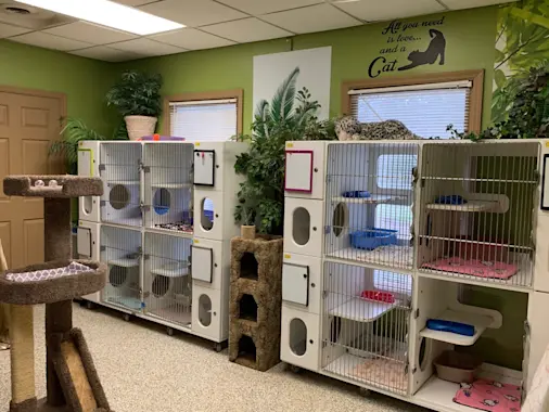 animal medical clinic office