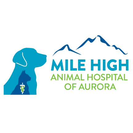 12 mile clearance animal hospital