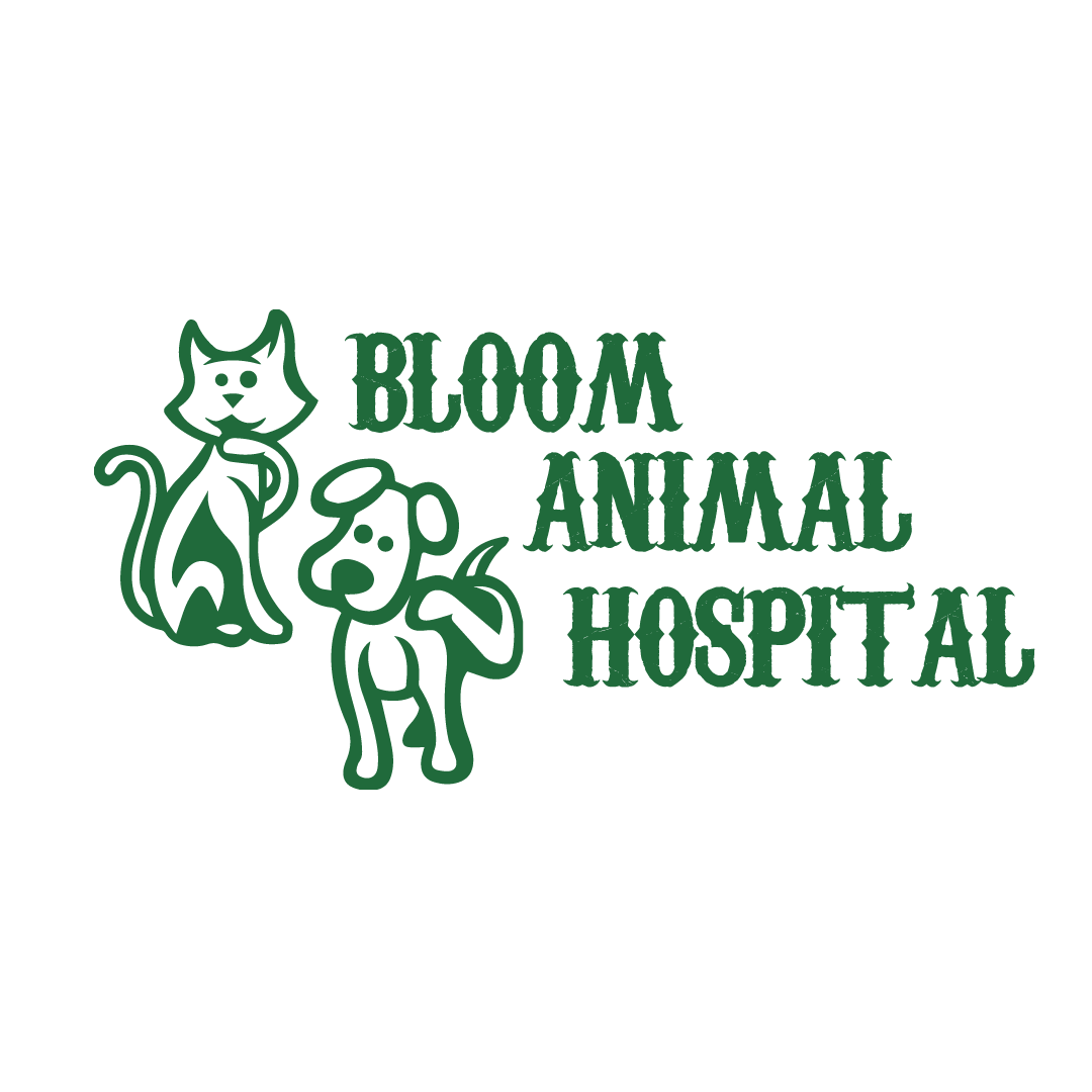 Bloom cheap pet hospital