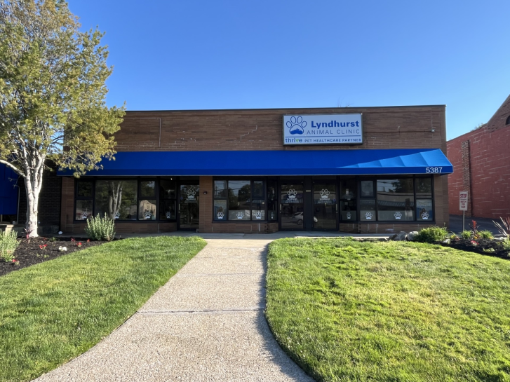 Lyndhurst Animal Clinic