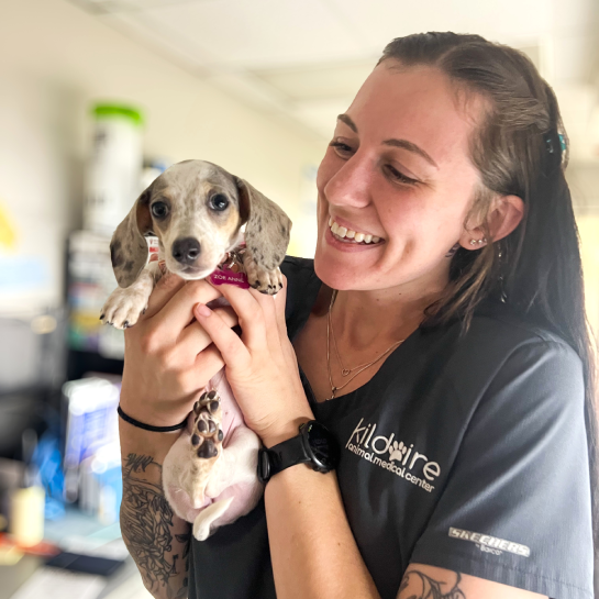 Kildaire Animal Medical Center