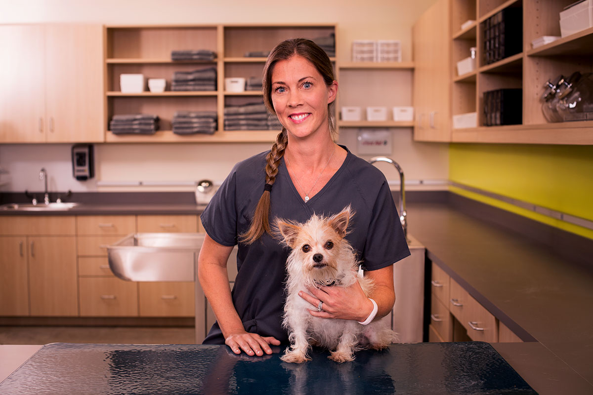 routine-wellness-thrive-pet-care-services