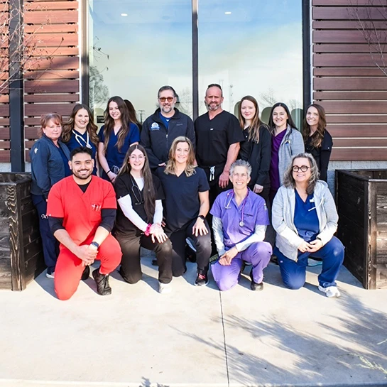 Ozark Veterinary Specialty Care