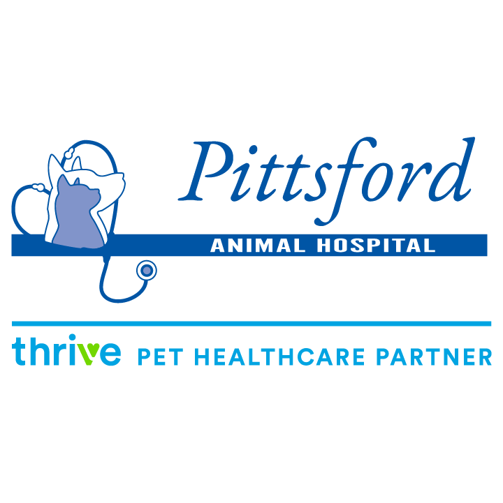 Pittsford Animal Hospital (of Pittsford)