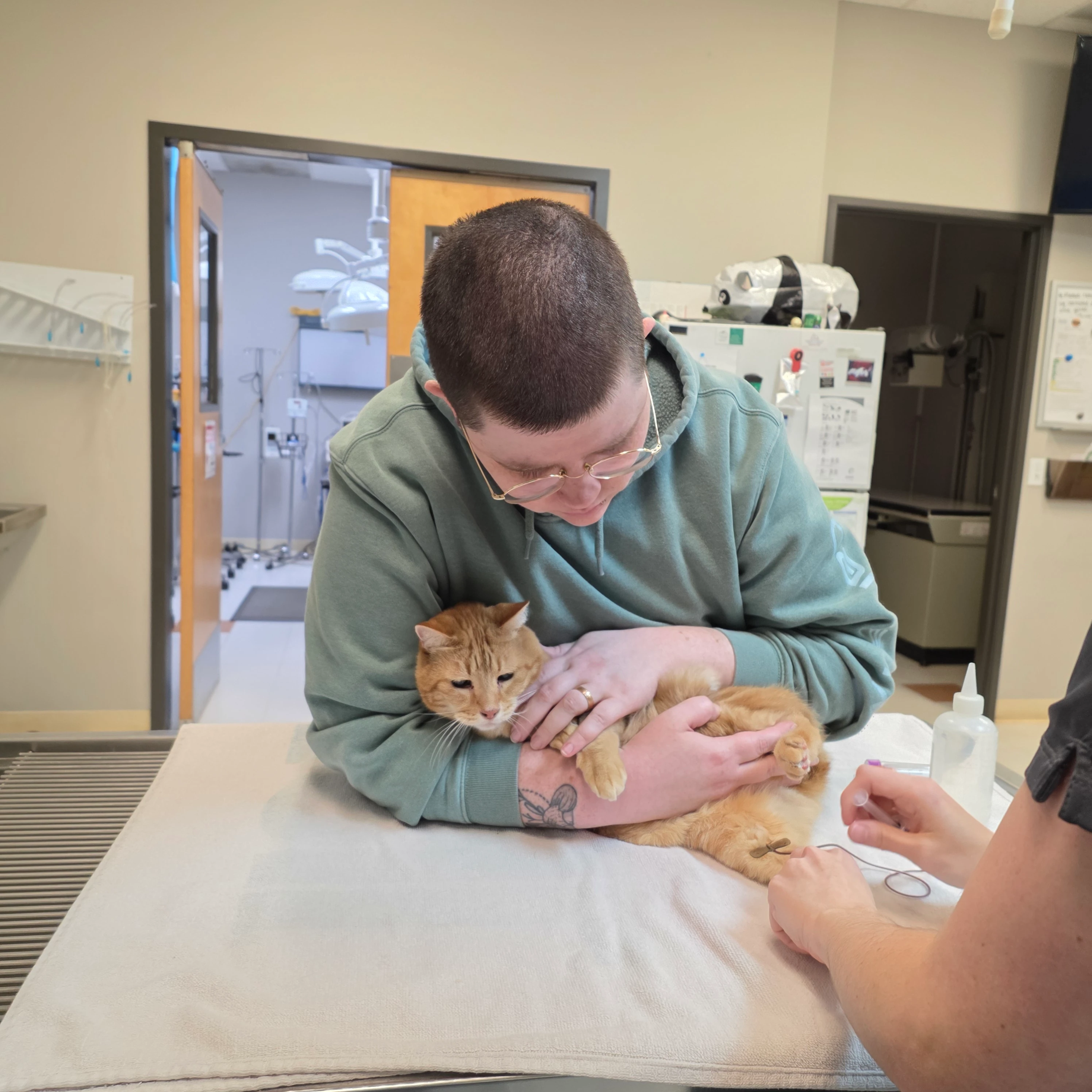 Community Pet Hospital