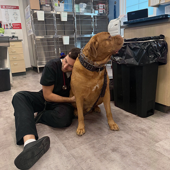 Thrive Pet Healthcare - Elmhurst