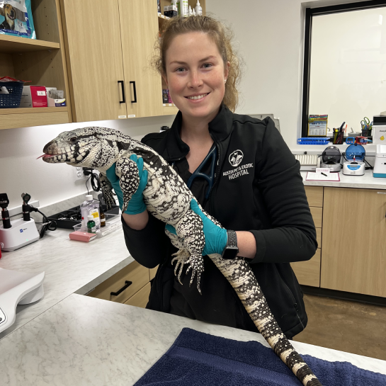 Austin Pet & Exotic Hospital