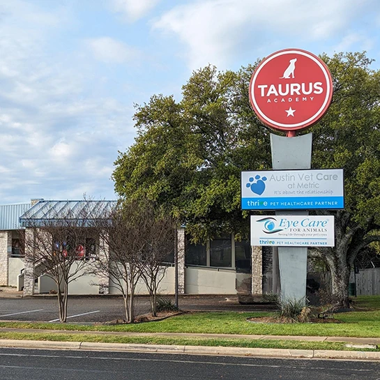 Eye Care For Animals - Austin