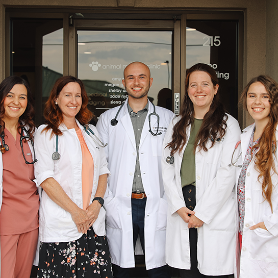 Animal Medical Clinic
