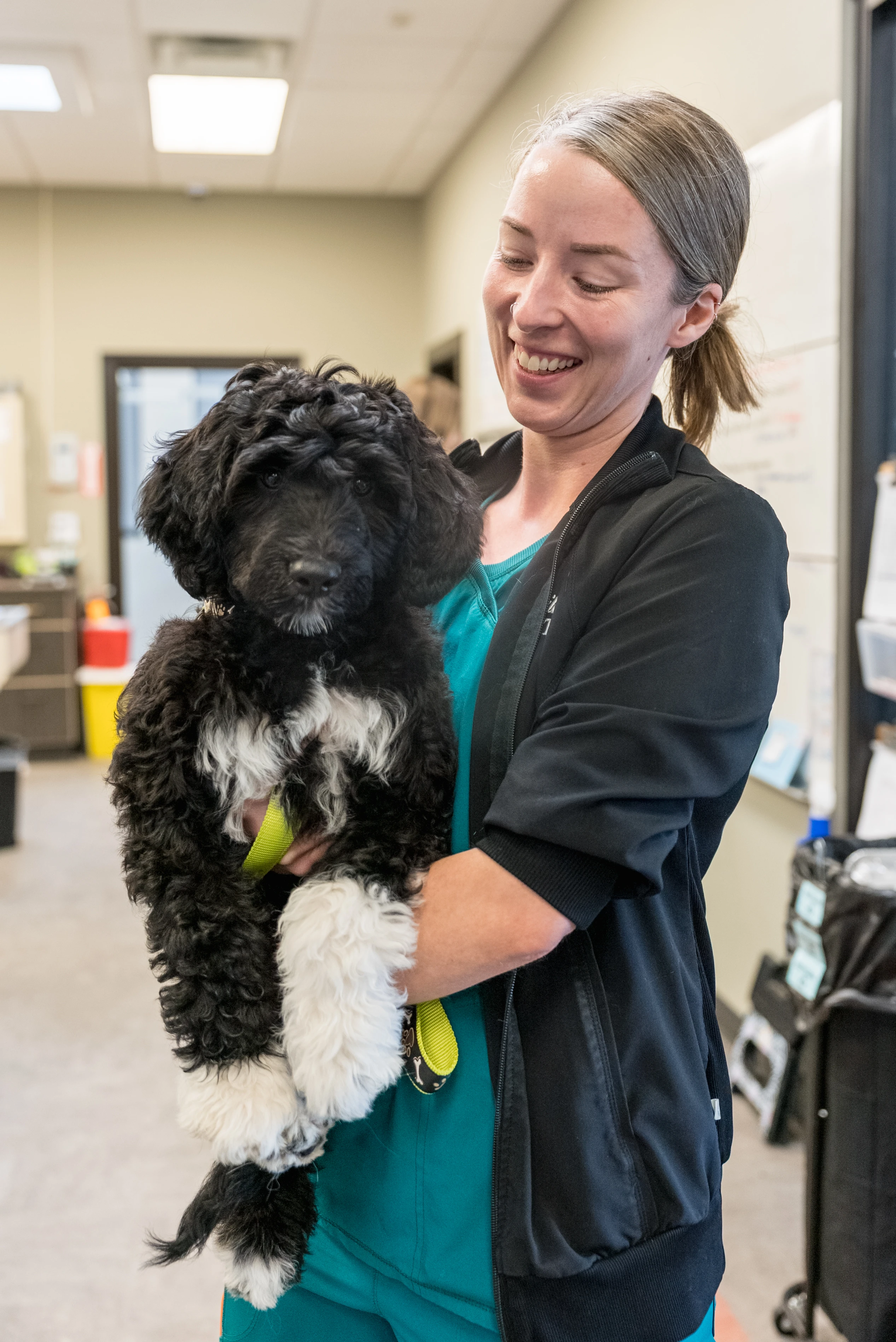 Village Veterinary Medical Center