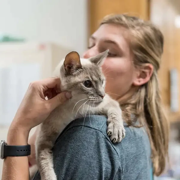 The Pet Hospitals Midtown
