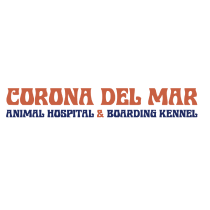 Del mar pet store hospital