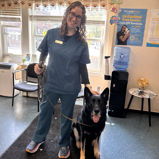 Thrive Pet Healthcare Medford