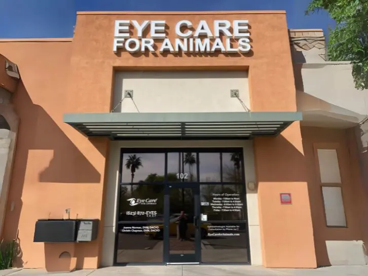 Eye Care For Animals - Avondale