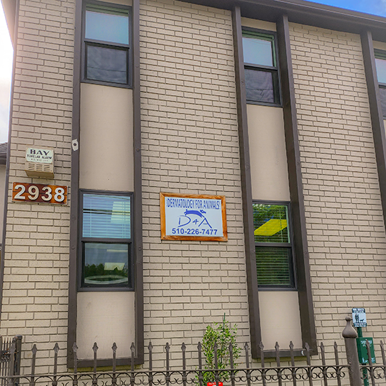 Dermatology for Animals - Oakland