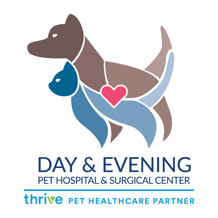 Day & Evening Pet Hospital and Pet Surgical Center