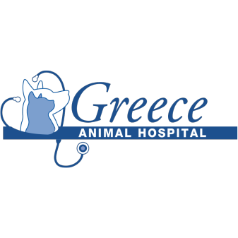 Greece Animal Hospital | Thrive Pet Healthcare
