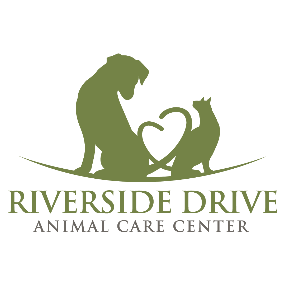 Veterinarian Dublin, OH Riverside Drive Animal Care Center