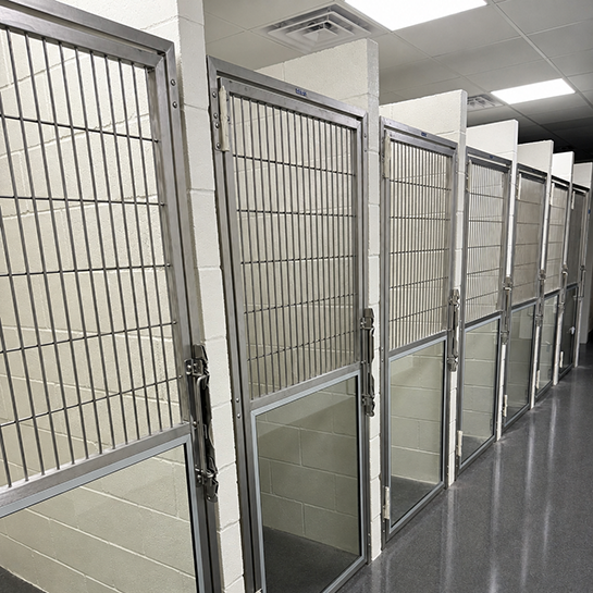 Hickory Small Animal Hospital Boarding