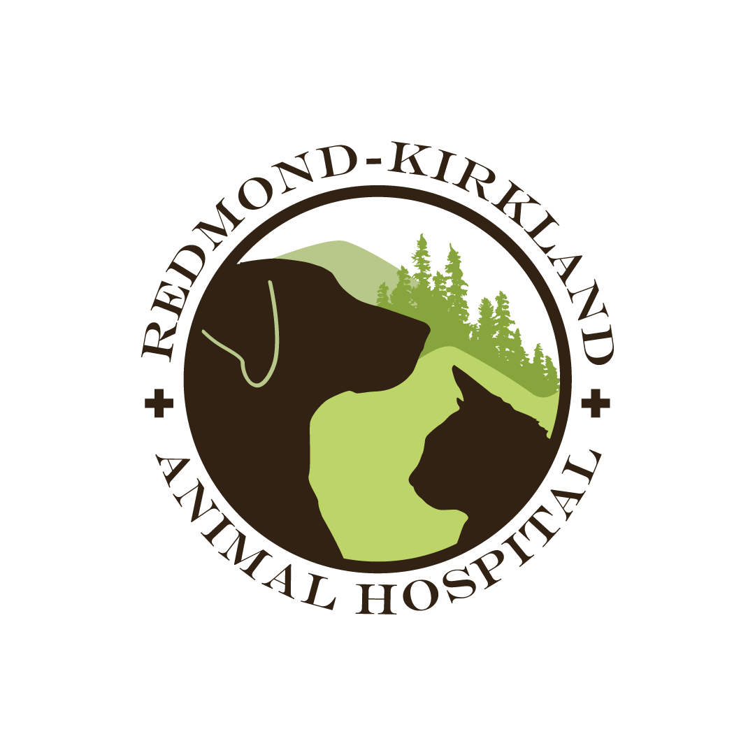 Redmond-Kirkland Animal Hospital | Thrive Pet Hospital