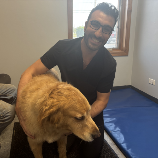 TOPS Veterinary Rehabilitation
