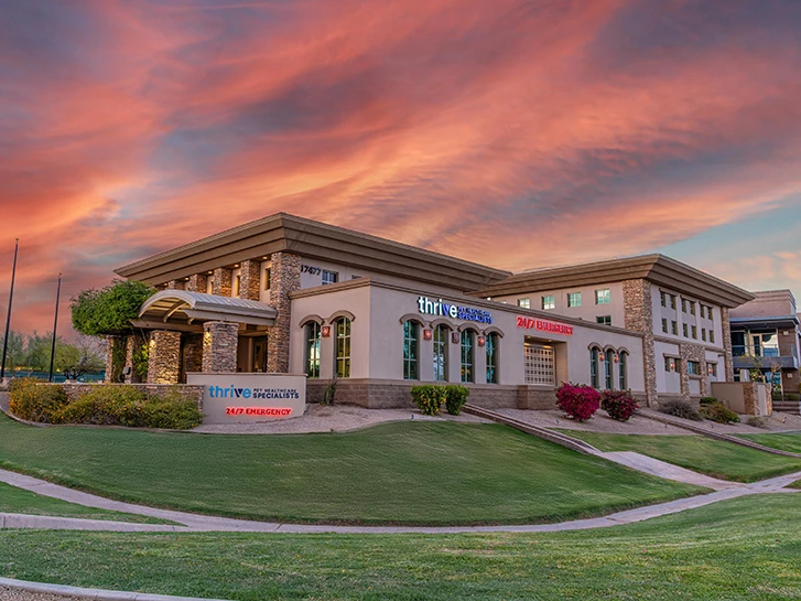 Dermatology For Animals - North Scottsdale