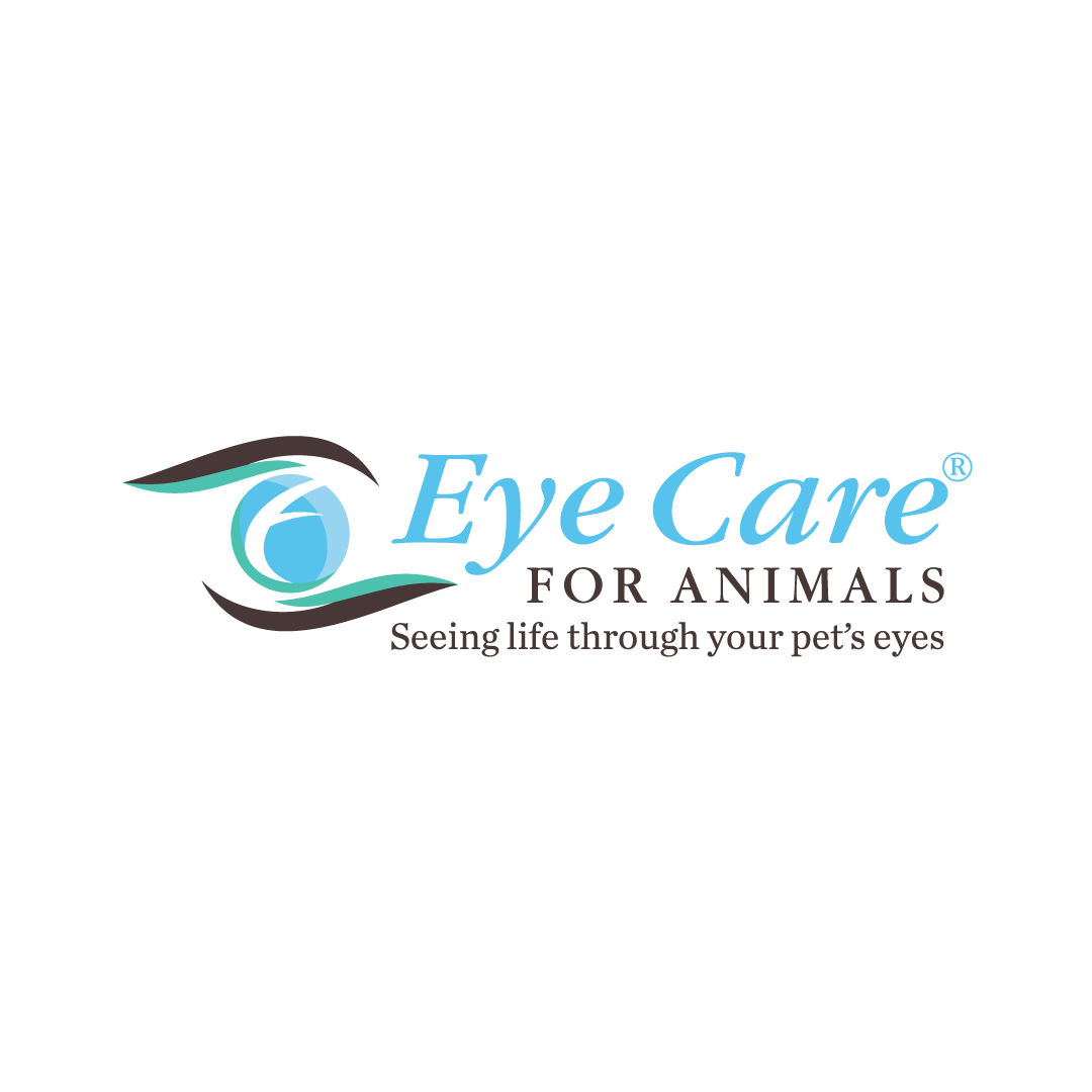 Eye Care for Animals El Paso