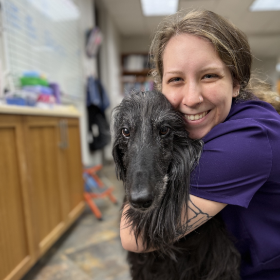 Trinity Animal Hospital