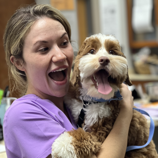 Trinity Animal Hospital