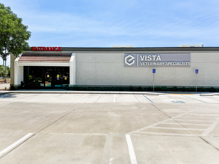 Dentistry and Oral Surgery for Animals Sacramento