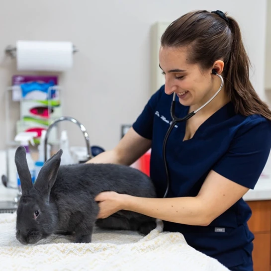 Westside Animal Clinic