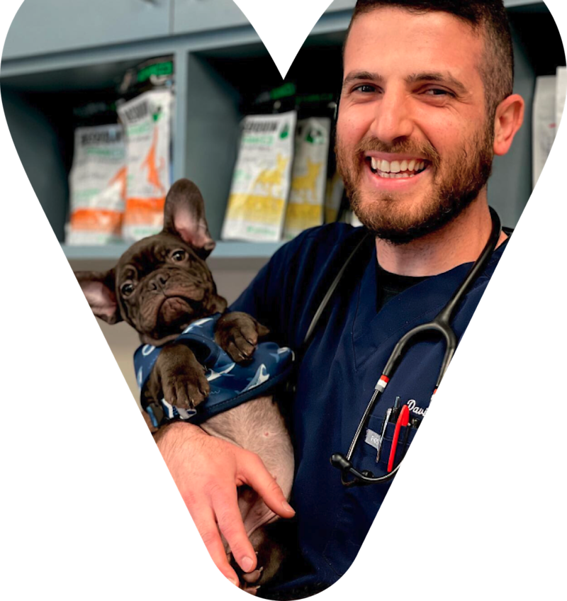 Veterinarian with pet