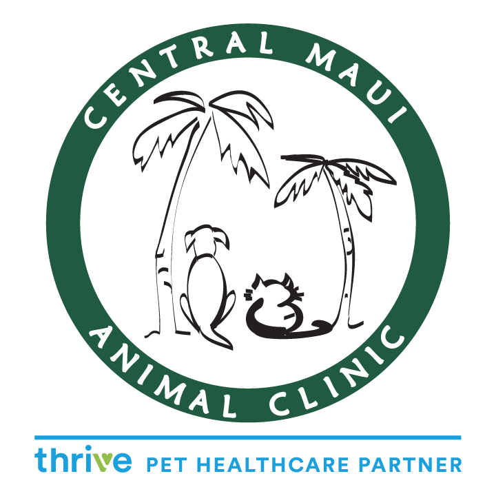 Central Maui Animal Clinic photo 1 in Kahului