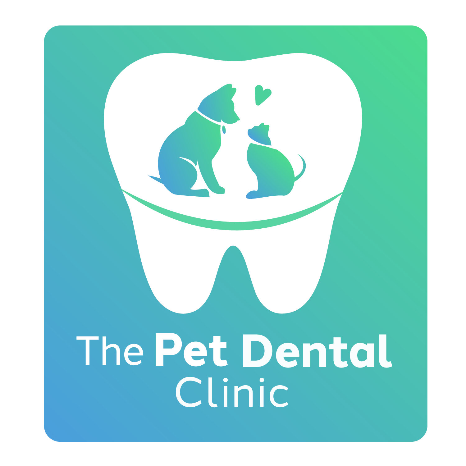 Veterinary Dental Services Queen Creek AZ Pet Dental Clinic