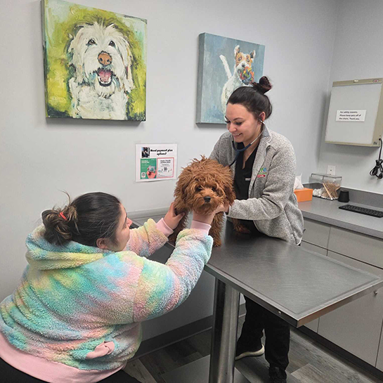 Thrive Pet Healthcare - Catonsville