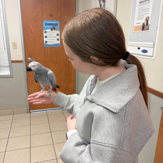 Magrane Pet Medical Center
