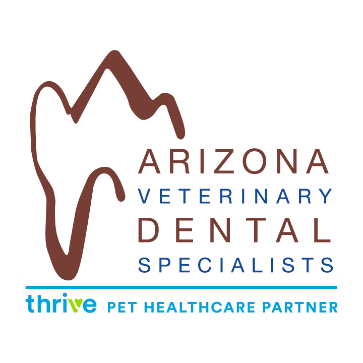 AZ Veterinary Dental Specialists