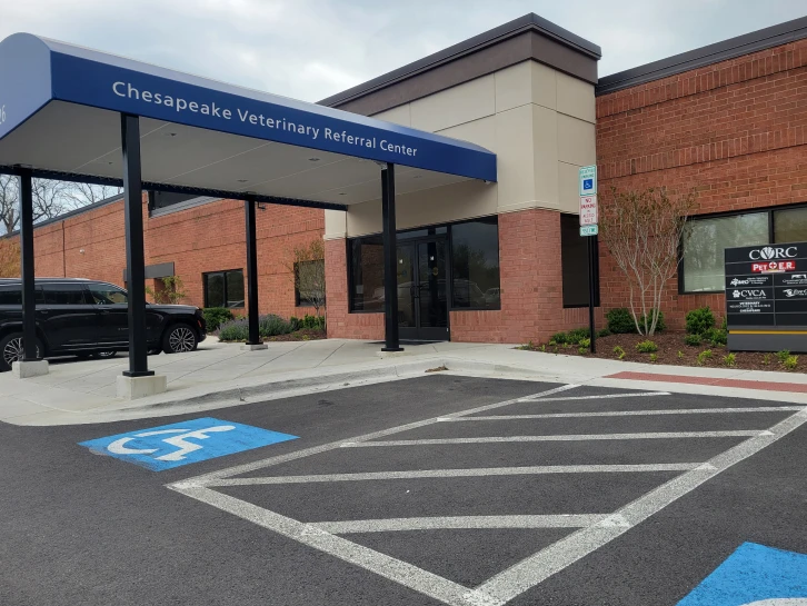 Eye Care For Animals - York Road