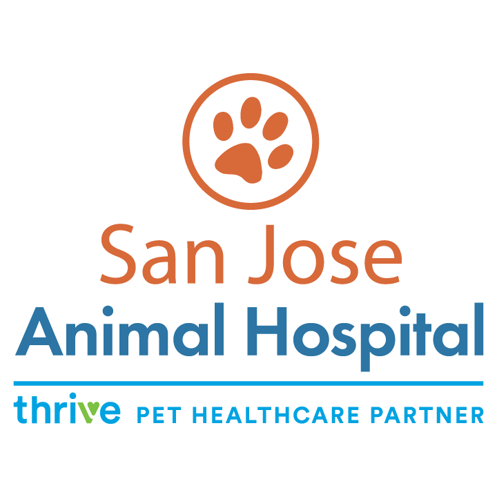 San Jose Animal Hospital