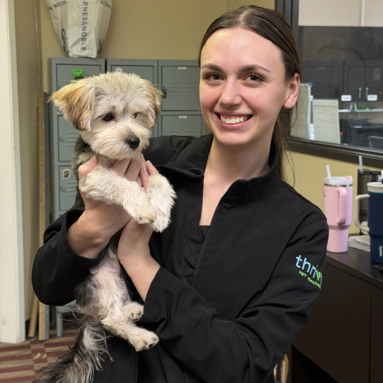 Thrive Pet Healthcare - Broadway