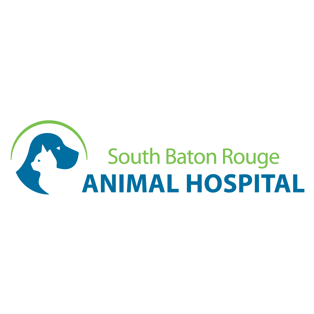 South Baton Rouge Animal Hospital Thrive Pet Healthcare